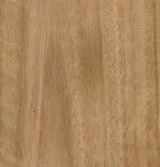 Blackbutt Veneer Crown Cut on Laminate