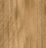 Spotted Gum Veneer Crown Cut on Pre-Glued Leaf