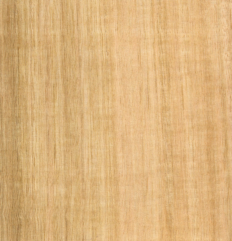 Tasmanian Oak Veneer