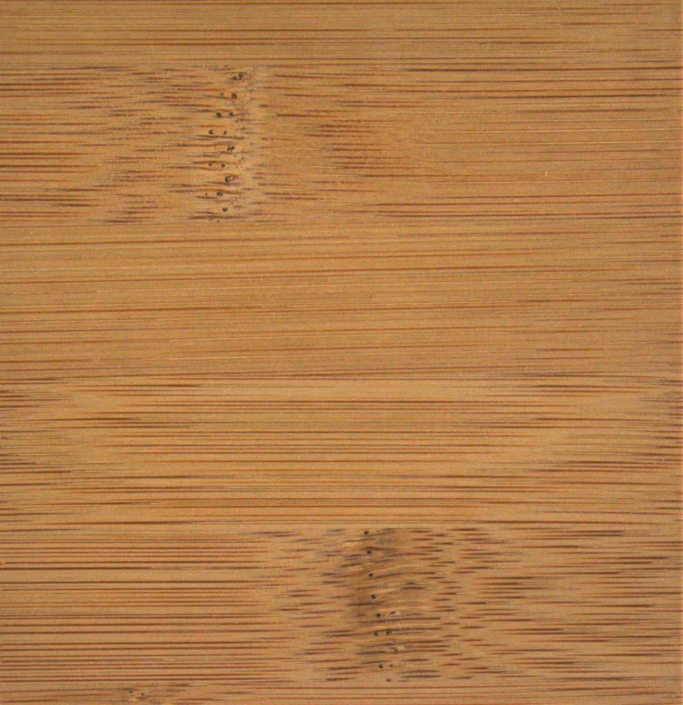 Bamboo Veneer