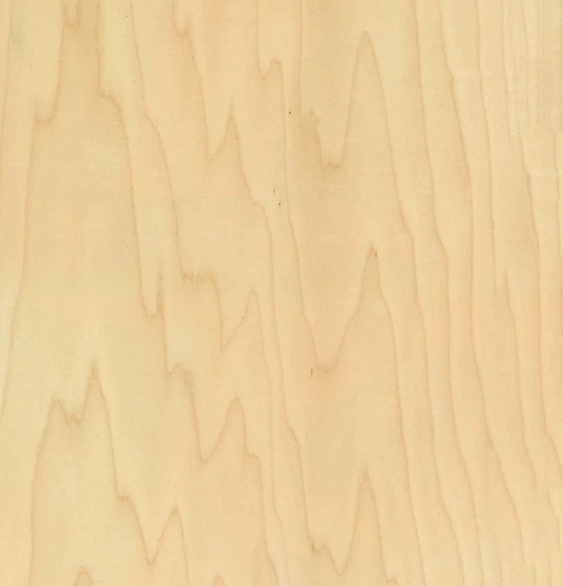 Maple Veneer
