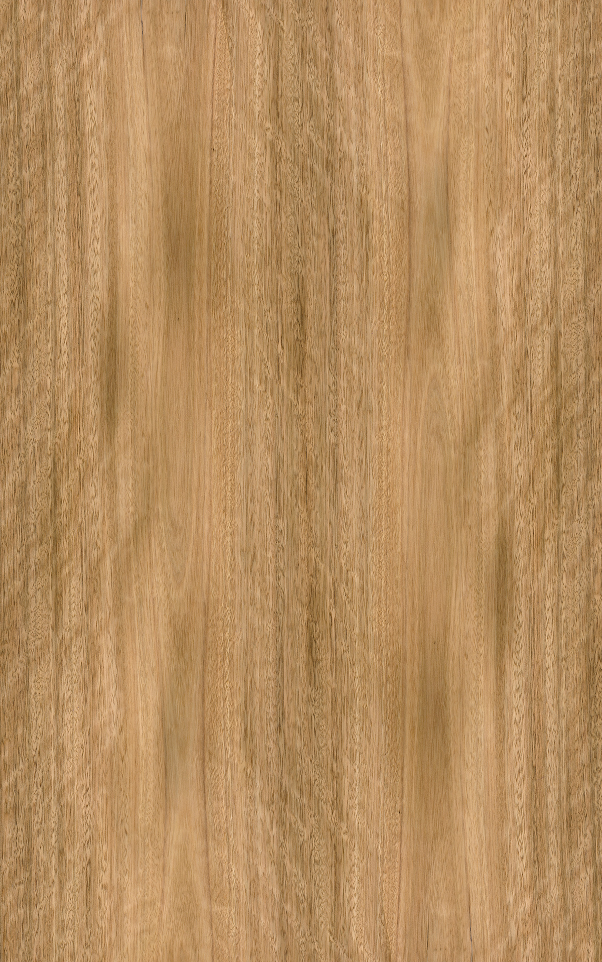 Spotted Gum Veneer Crown Cut Reverse Slip Match on Black Moisture Resistant MDF
