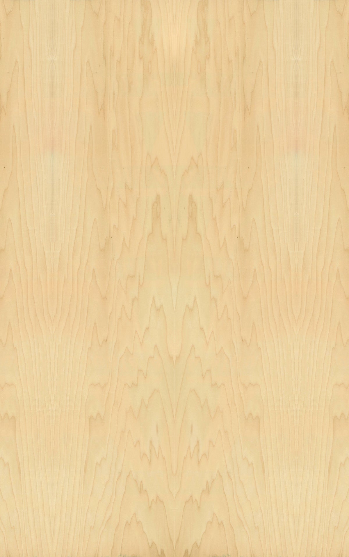 5 Rocks Maple Rock Maple Veneer Crown Cut on Fire Rated MDF – Bord Products
