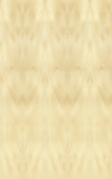 Austral Araucaria Hoop Pine Veneer Sample
