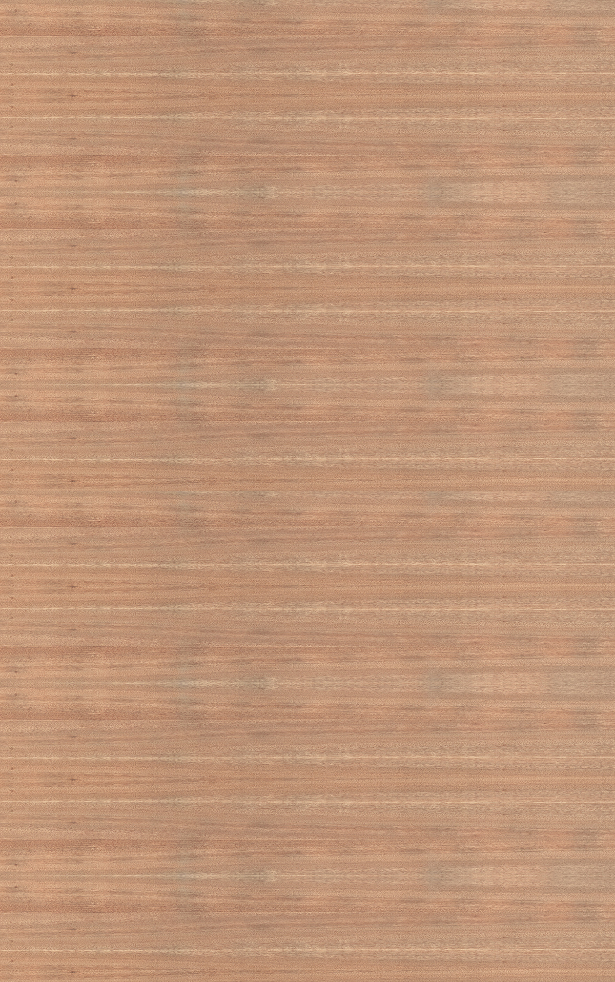 Sliced Pacific Maple Veneer Quarter Cut Cross Grain on Black Moisture Resistant MDF