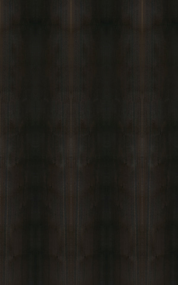 Smoked Eucalyptus Veneer Crown Cut Sample