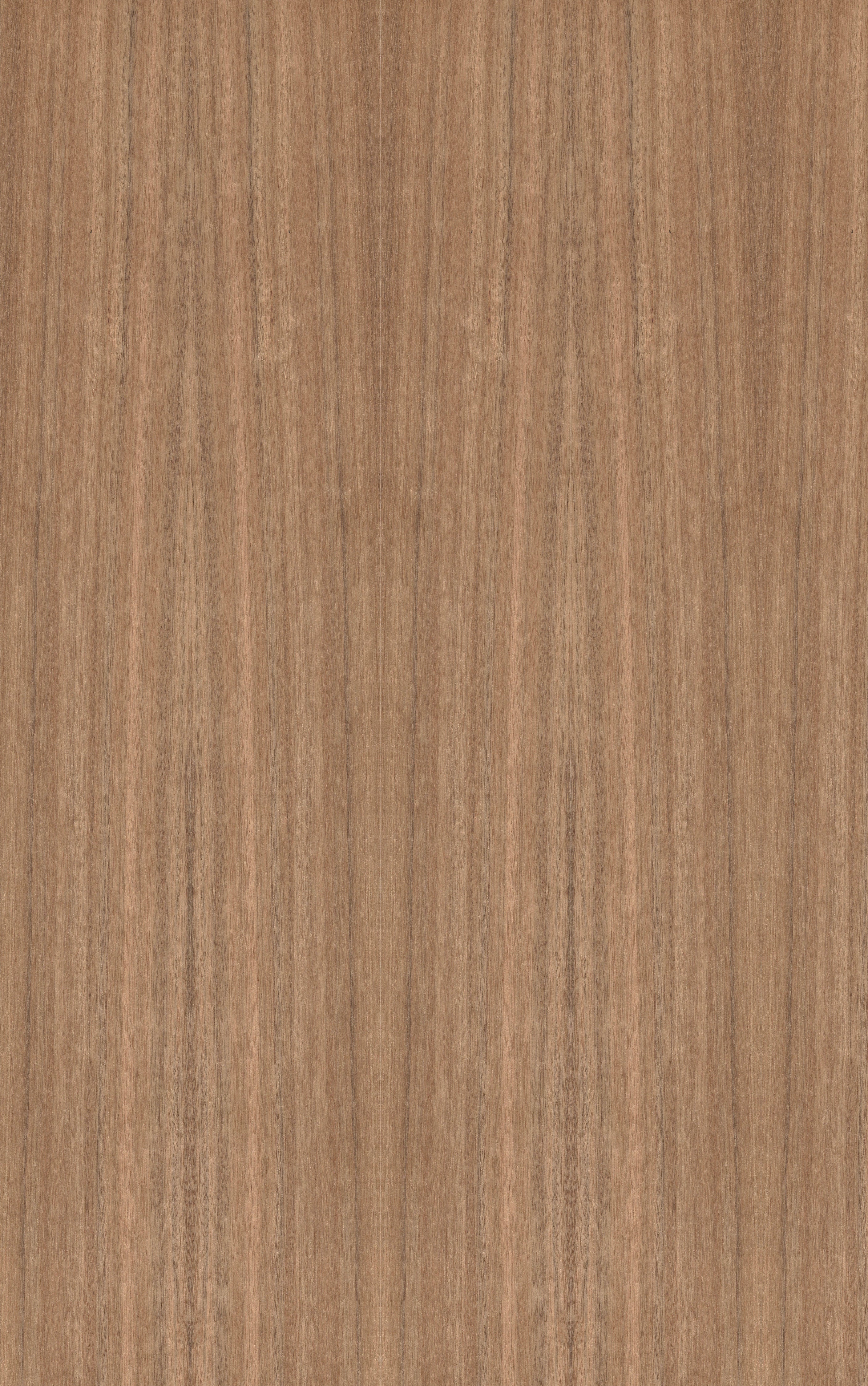 Ironbark Veneer Quarter Cut Sample