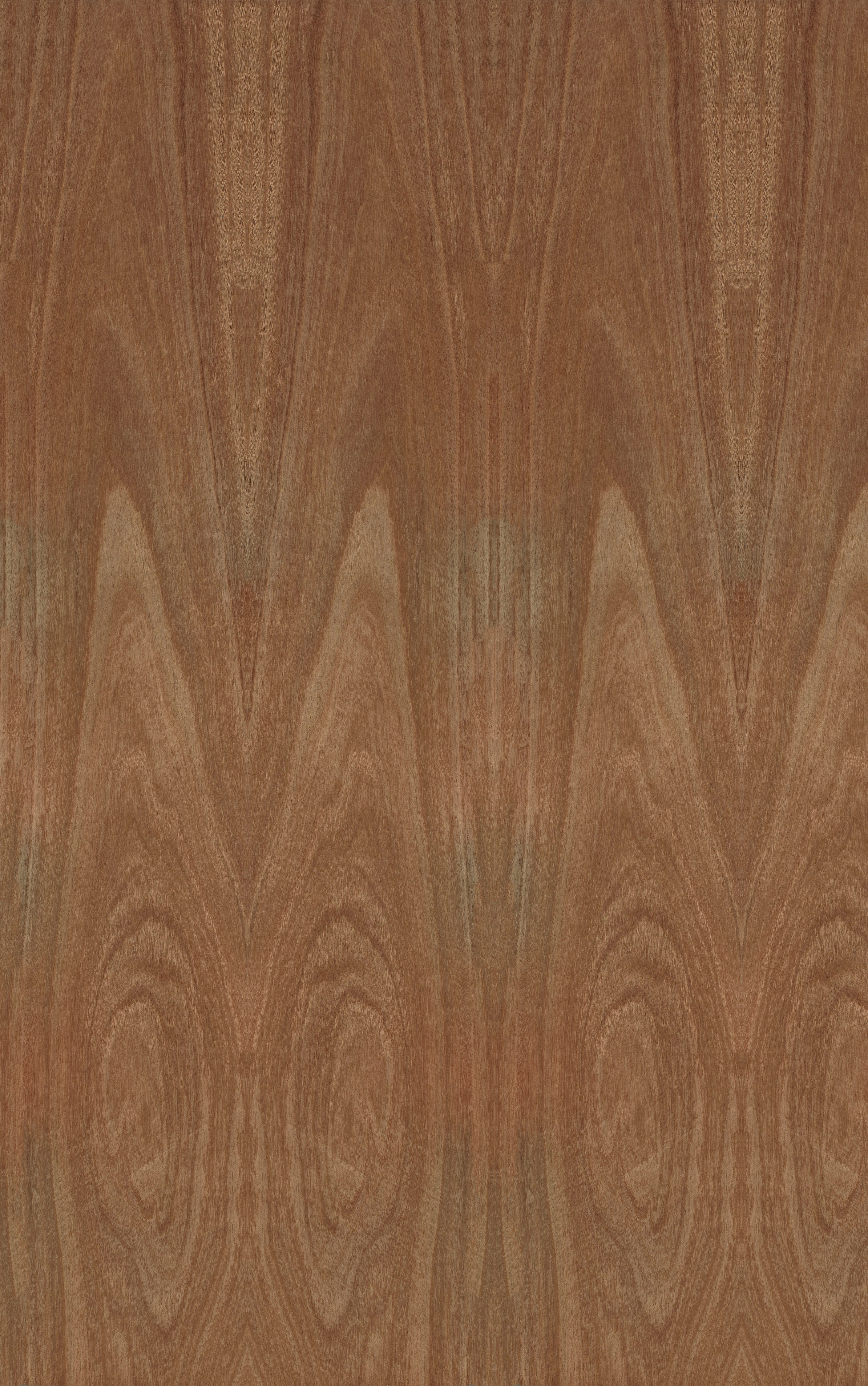 Ironbark Veneer Crown Cut Sample