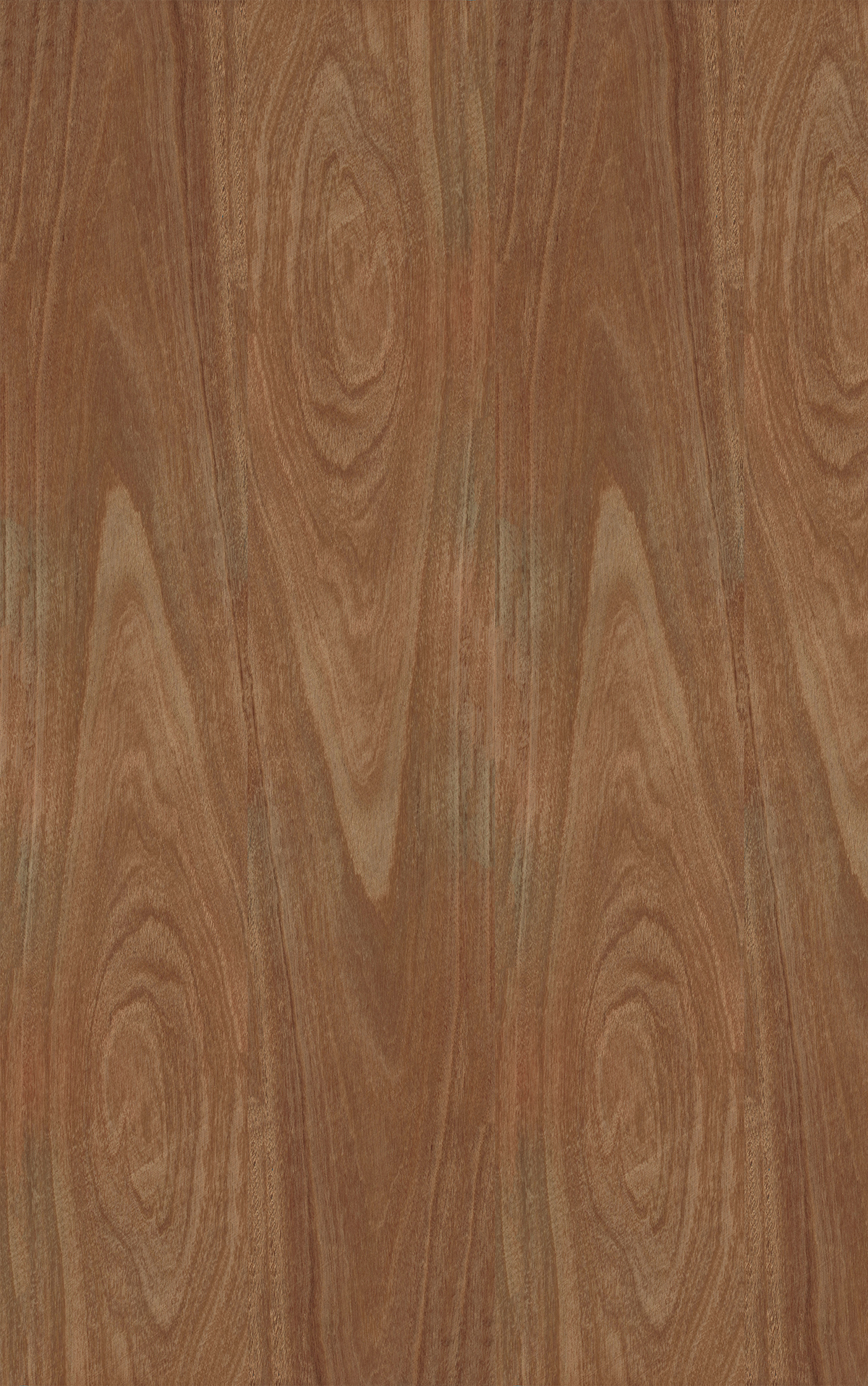 Ironbark Veneer Crown Cut Reverse Slip Match on HMR Moisture Resistant Particleboard