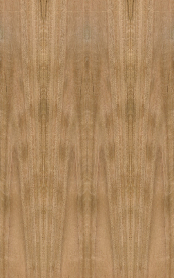 Blackbutt Veneer Crown Cut Sample