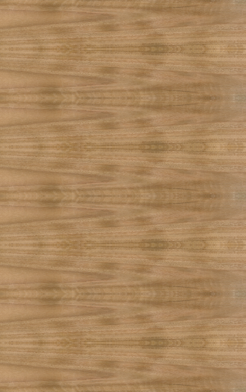 Blackbutt Veneer Crown Cut Cross Grain on Plywood