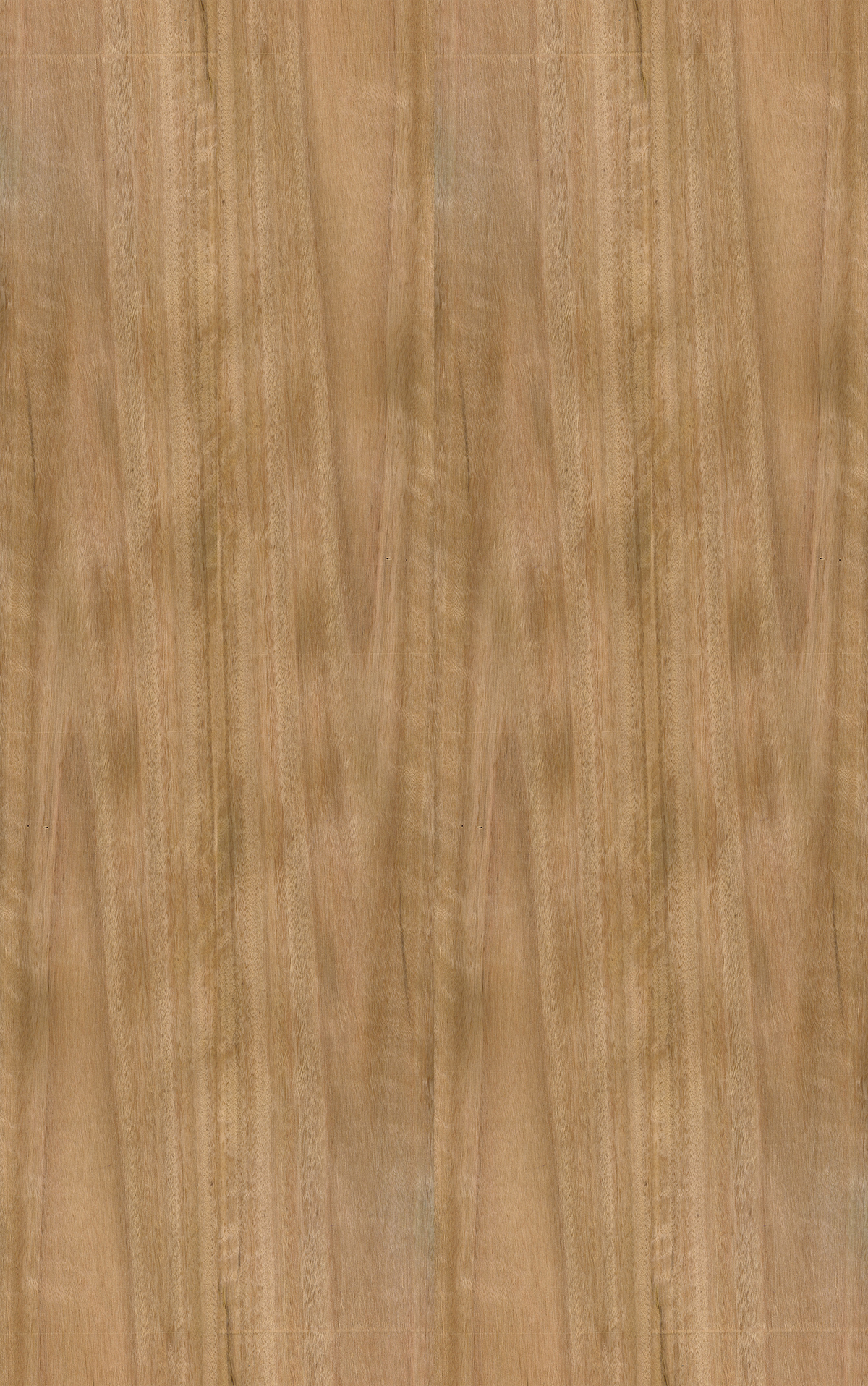 Blackbutt Veneer Crown Cut Reverse Slip Match on Black Moisture Resistant MDF