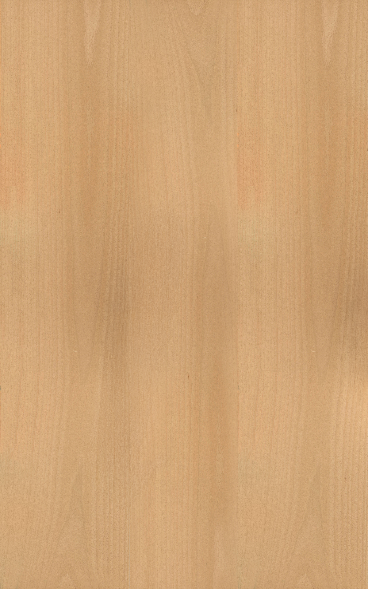 Beech Veneer Crown Cut Reverse Slip Match on Black Moisture Resistant MDF