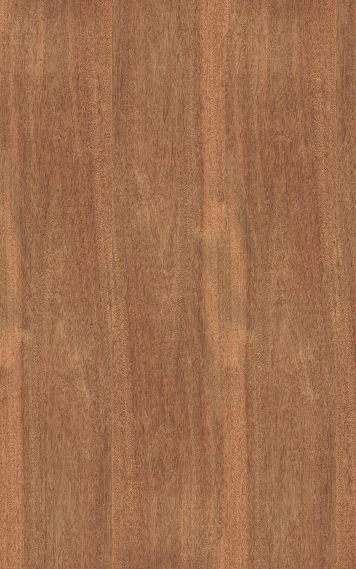 Sapele Veneer Crown Cut Reverse Slip Match on HMR Moisture Resistant Particleboard