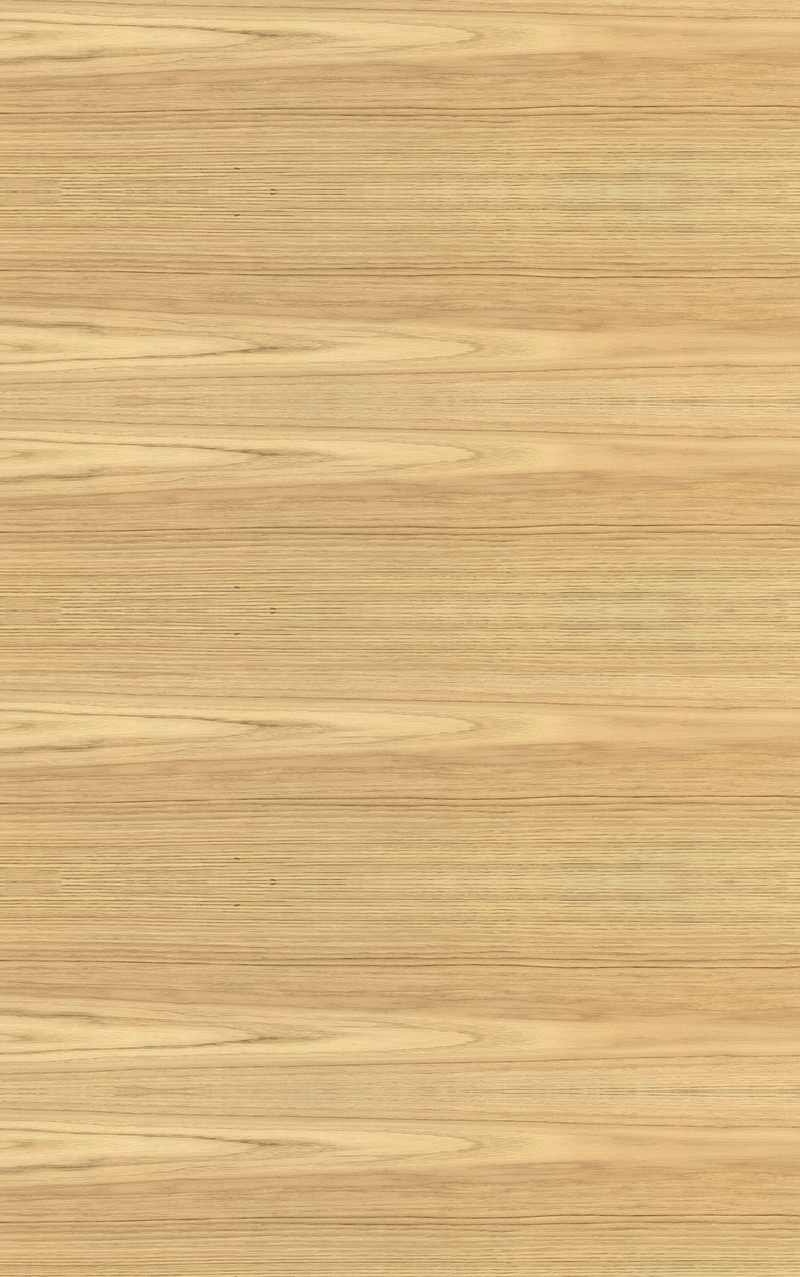 American Oak Veneer Crown Cut Cross Grain on Plywood
