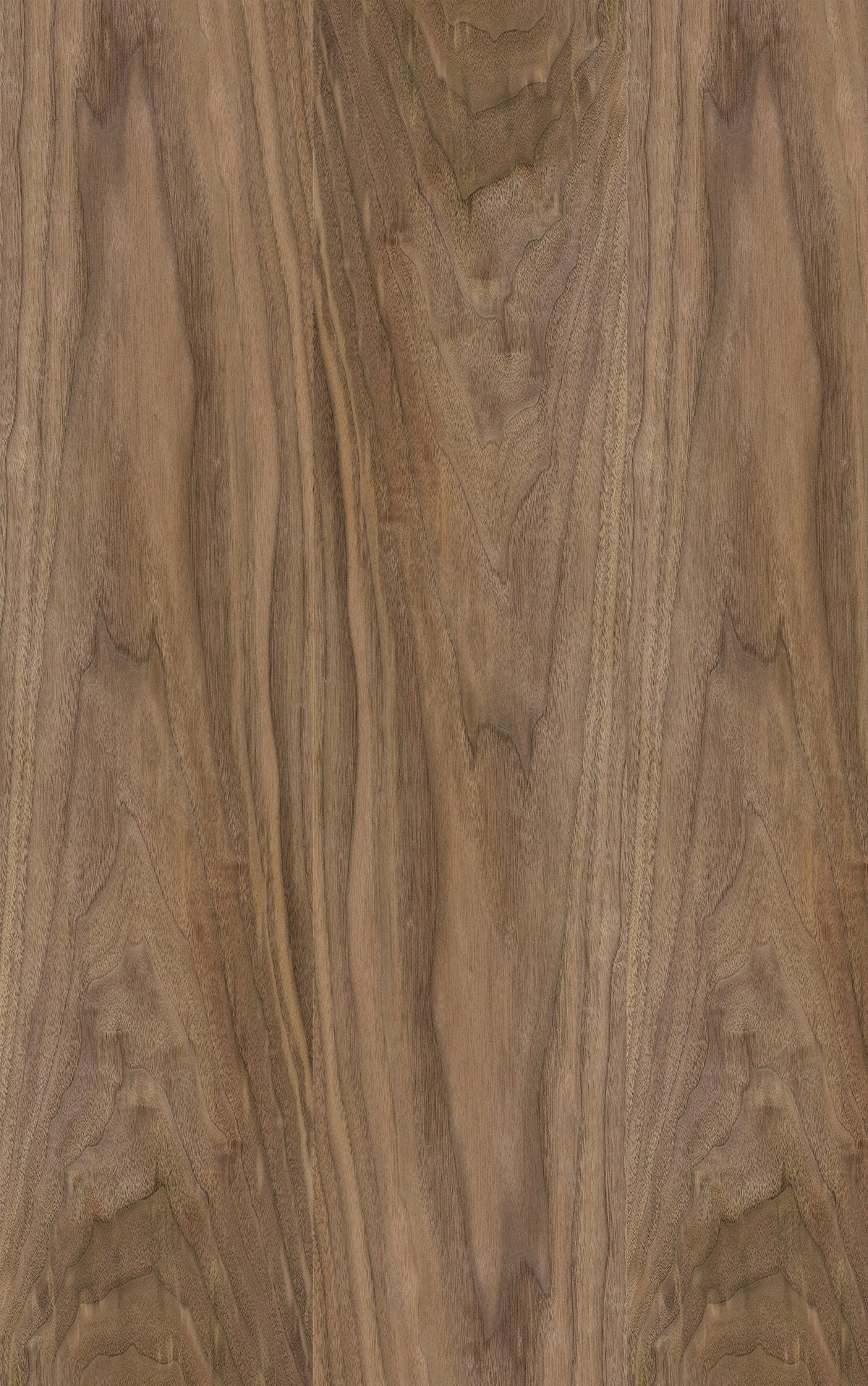 American Walnut Veneer Crown Cut Reverse Slip Match on Black Moisture Resistant MDF