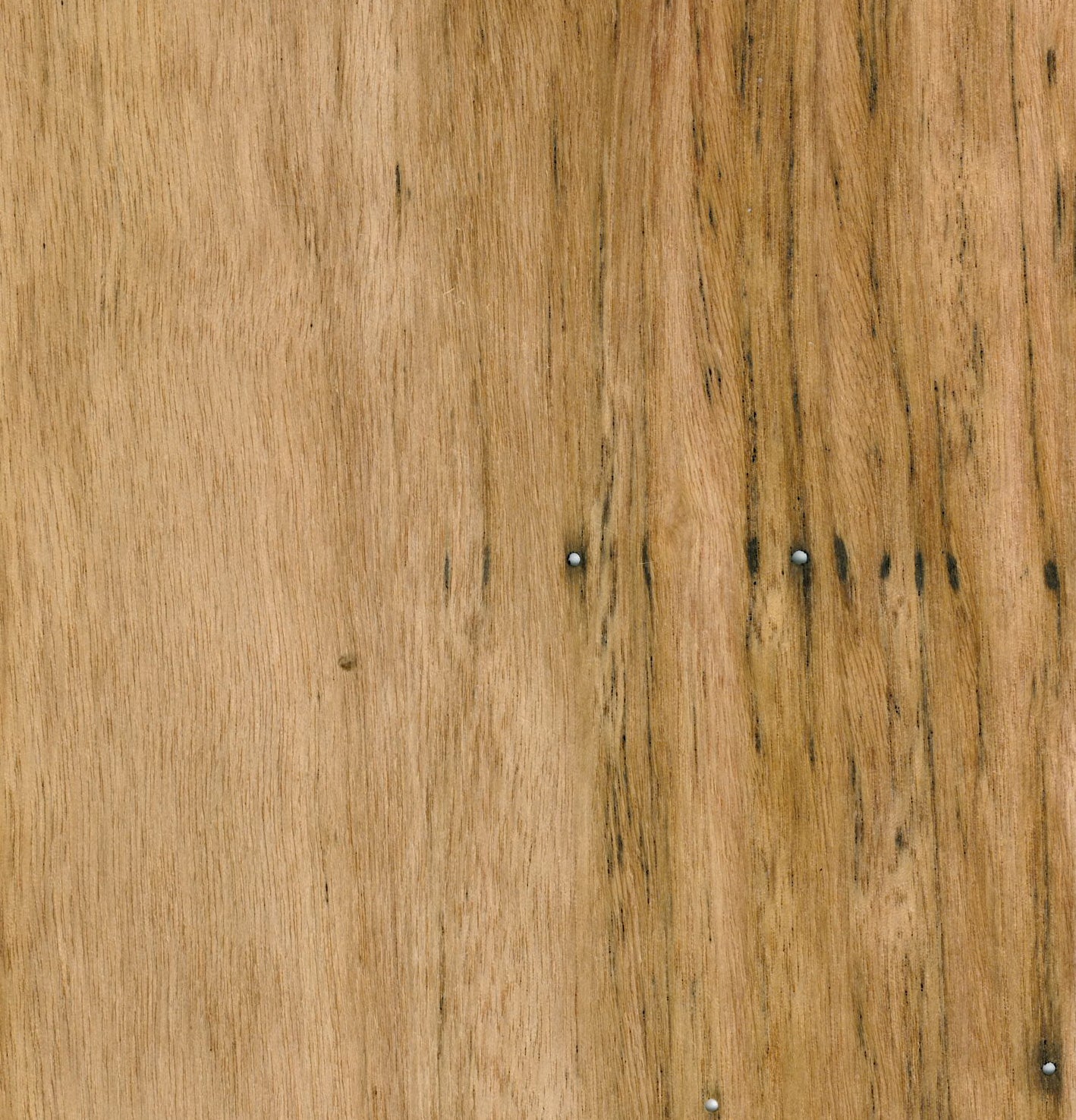 Blackbutt Veneer Natural Feature Grade Edge Banding