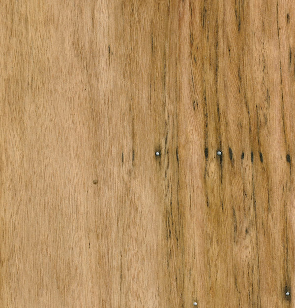 Blackbutt Veneer Natural Feature Grade Edge Banding