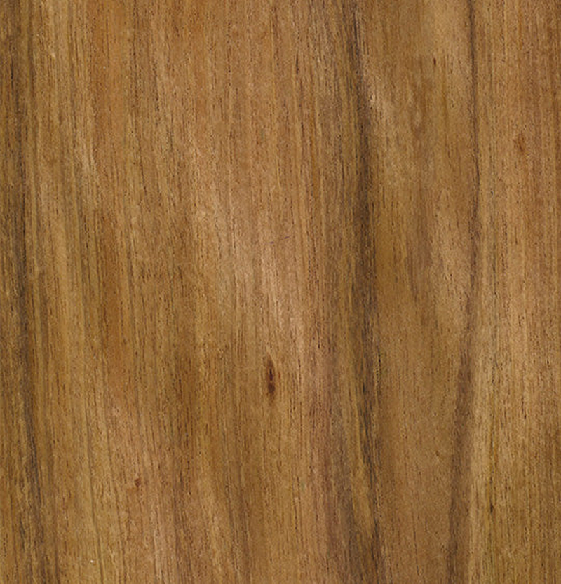 Blackwood Veneer Crown Cut on Pre-Glued Leaf