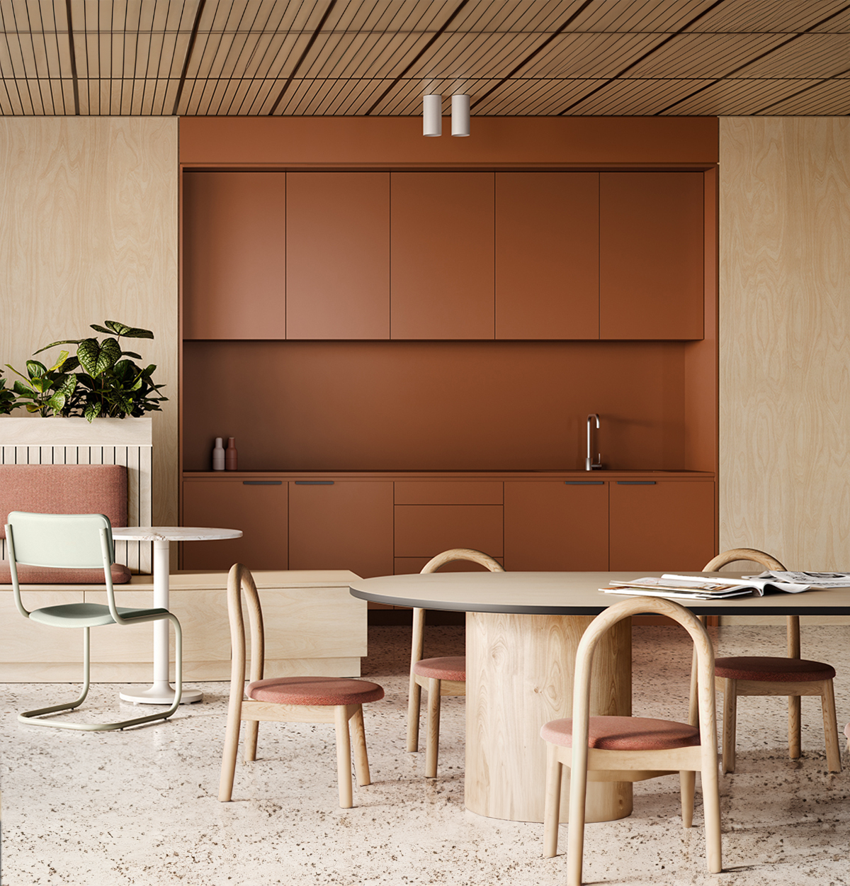 Laminex Classic Flat Raw Birchply Wall Panels
