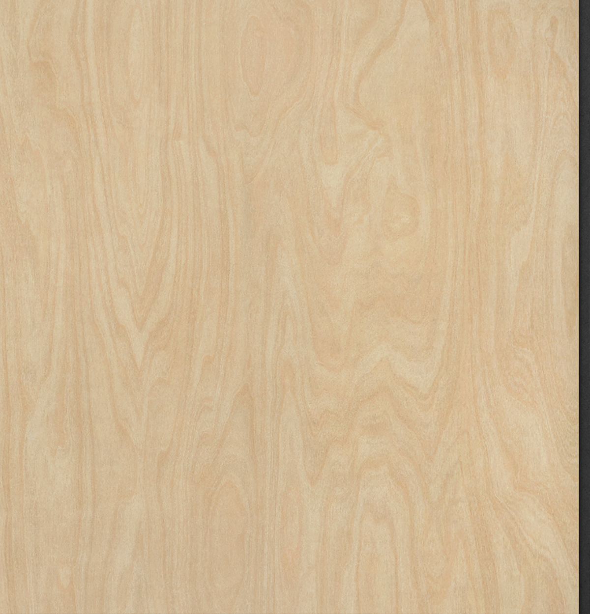 Laminex Classic Flat Raw Birchply Wall Panels