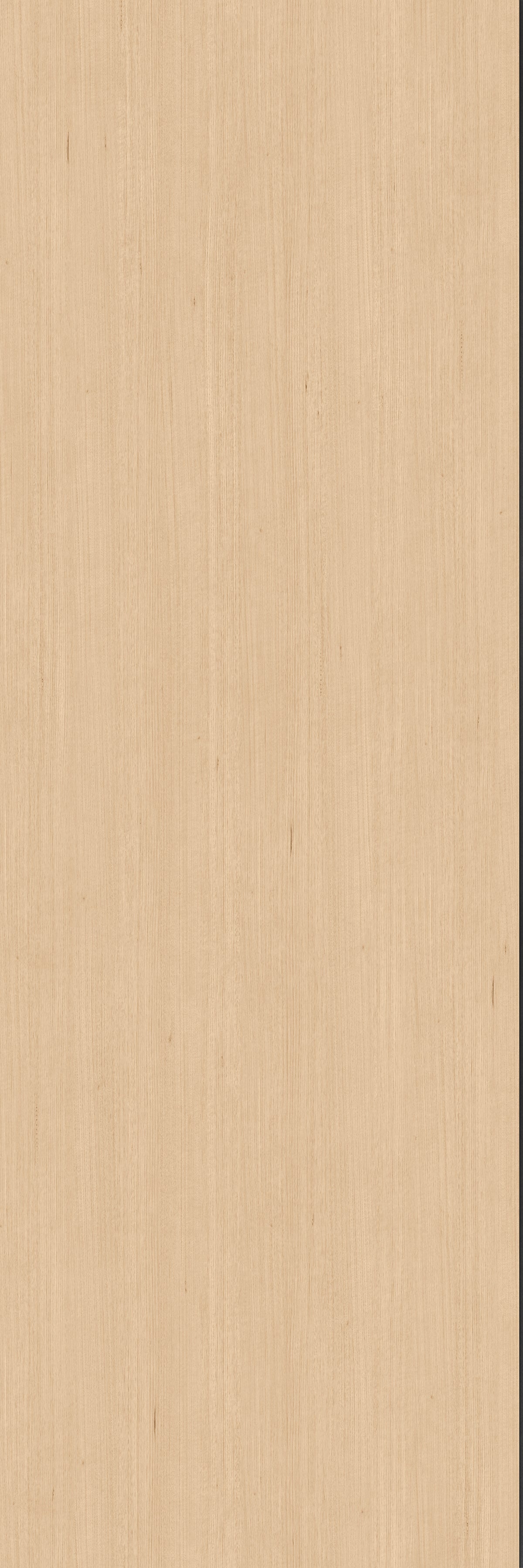 Laminex Classic Flat Victorian Ash TrueScale Wall Panels