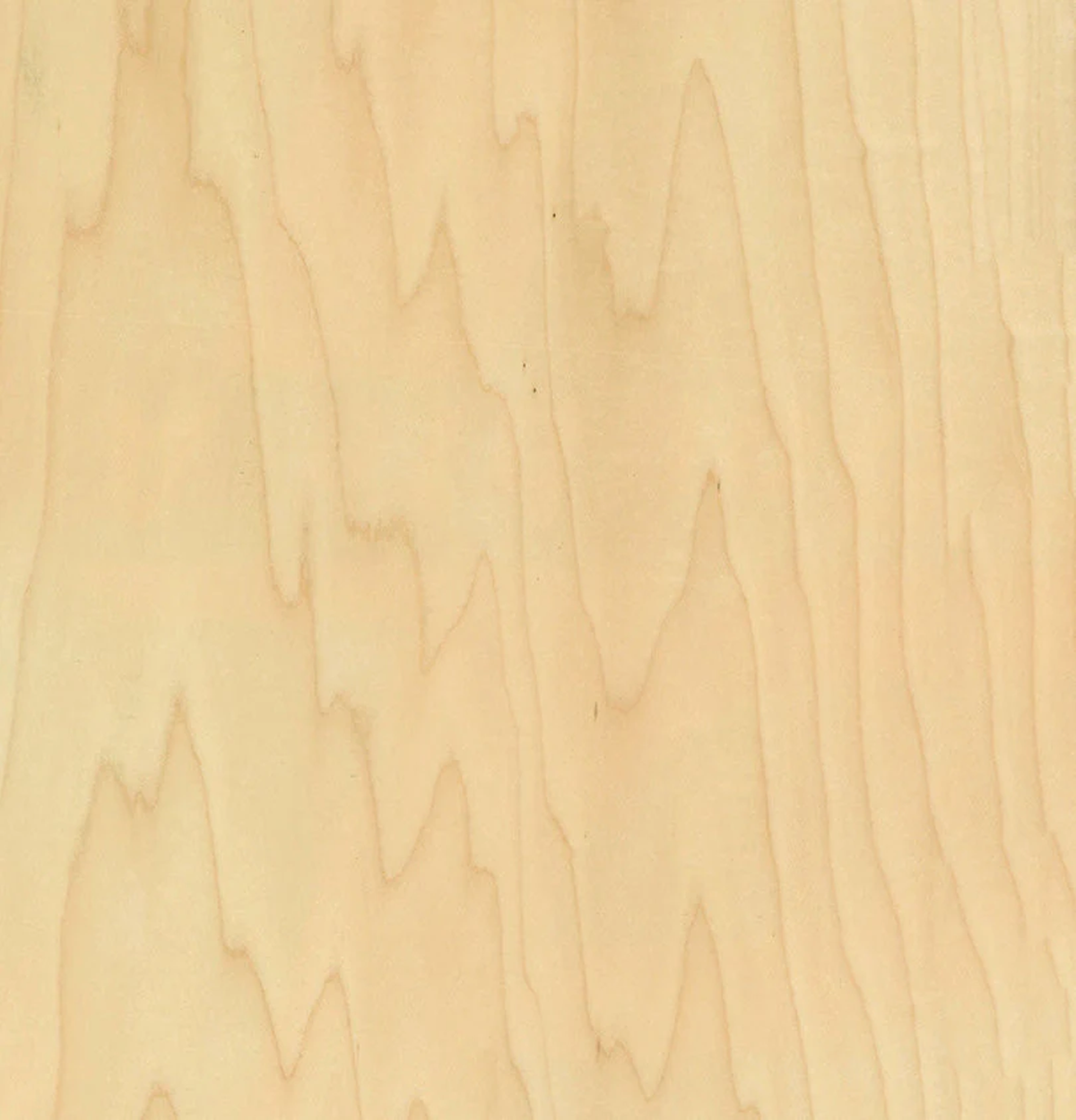 Rock Maple Veneer Crown Cut on Pre-Glued Leaf