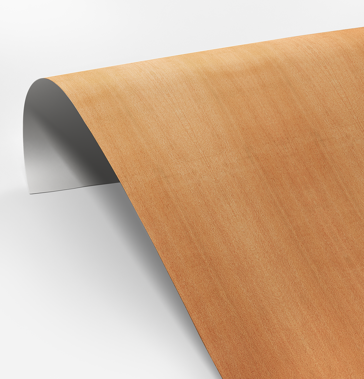 Silky Oak Veneer Quarter Cut on Laminate