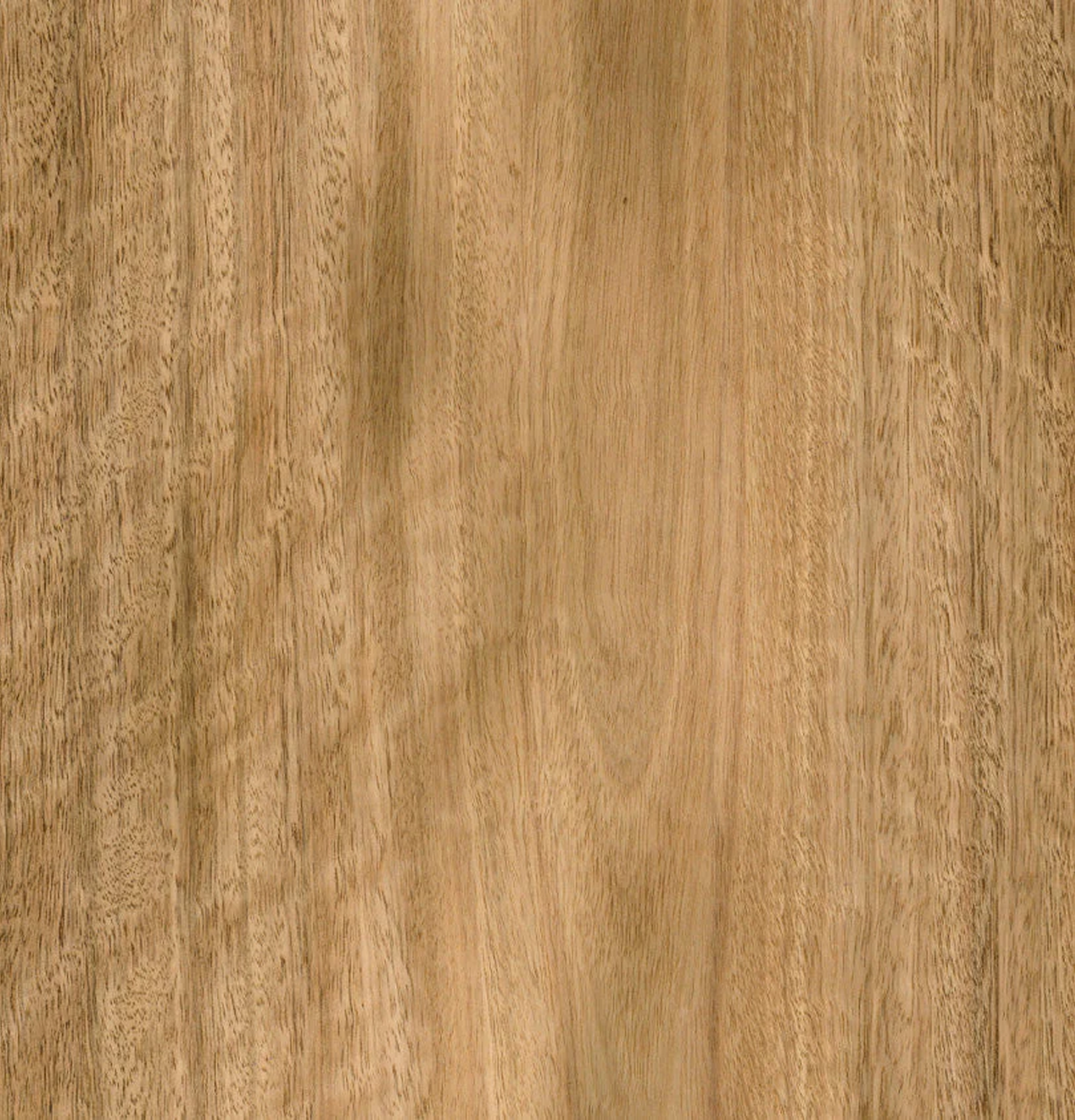Spotted Gum Veneer Crown Cut on Pre-Glued Leaf