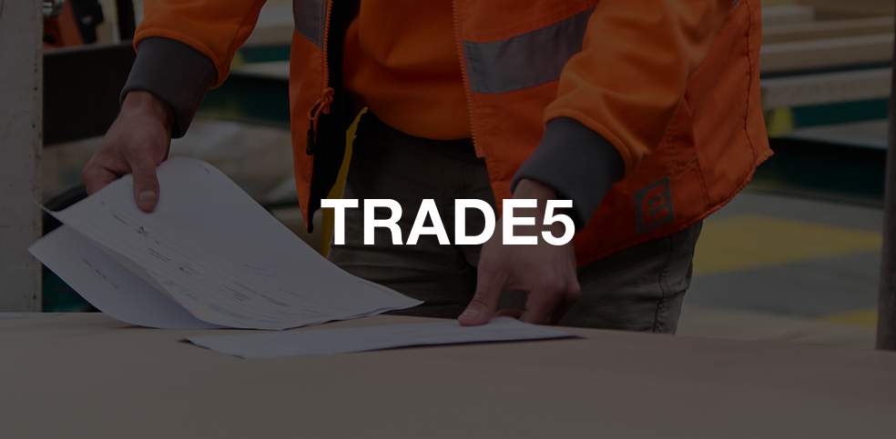 <strong>Level 1</strong>