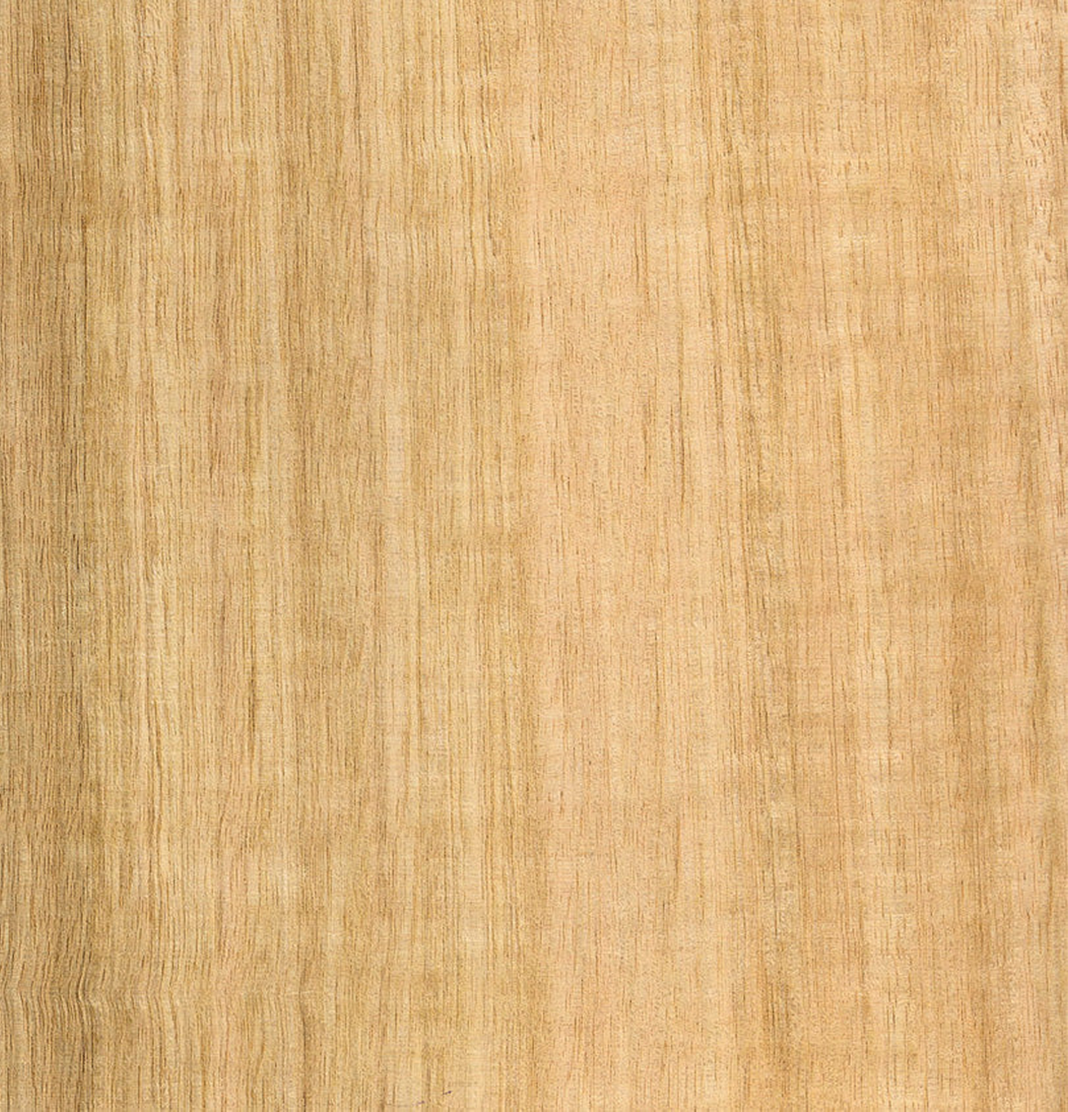 Tasmanian Oak Veneer Quarter Cut on Pre-Glued Leaf