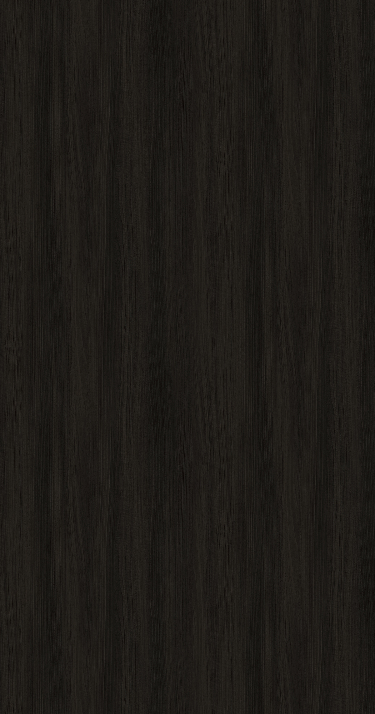 Vento Walnut EVOGRAIN Hyperreal on Plywood