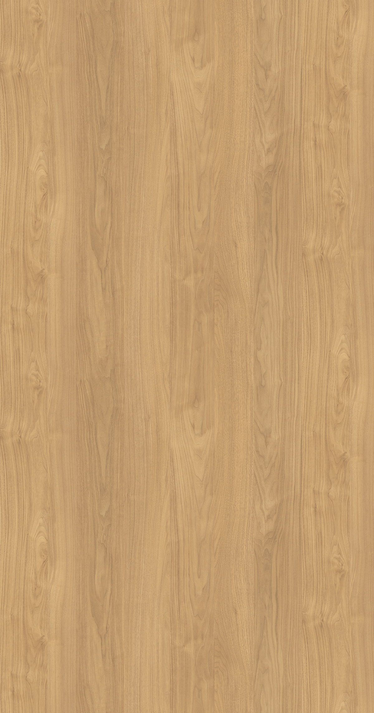 Warm Oak EVOGRAIN Hyperreal on MDF