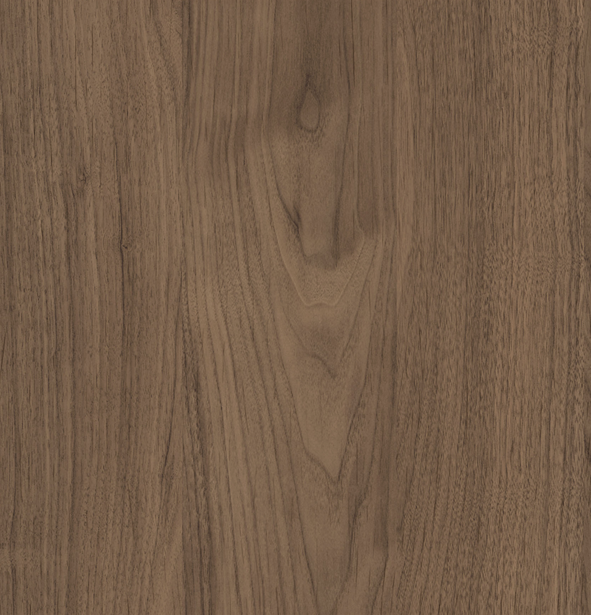 Warm Walnut EVOGRAIN Hyperreal on Moisture Resistant MDF