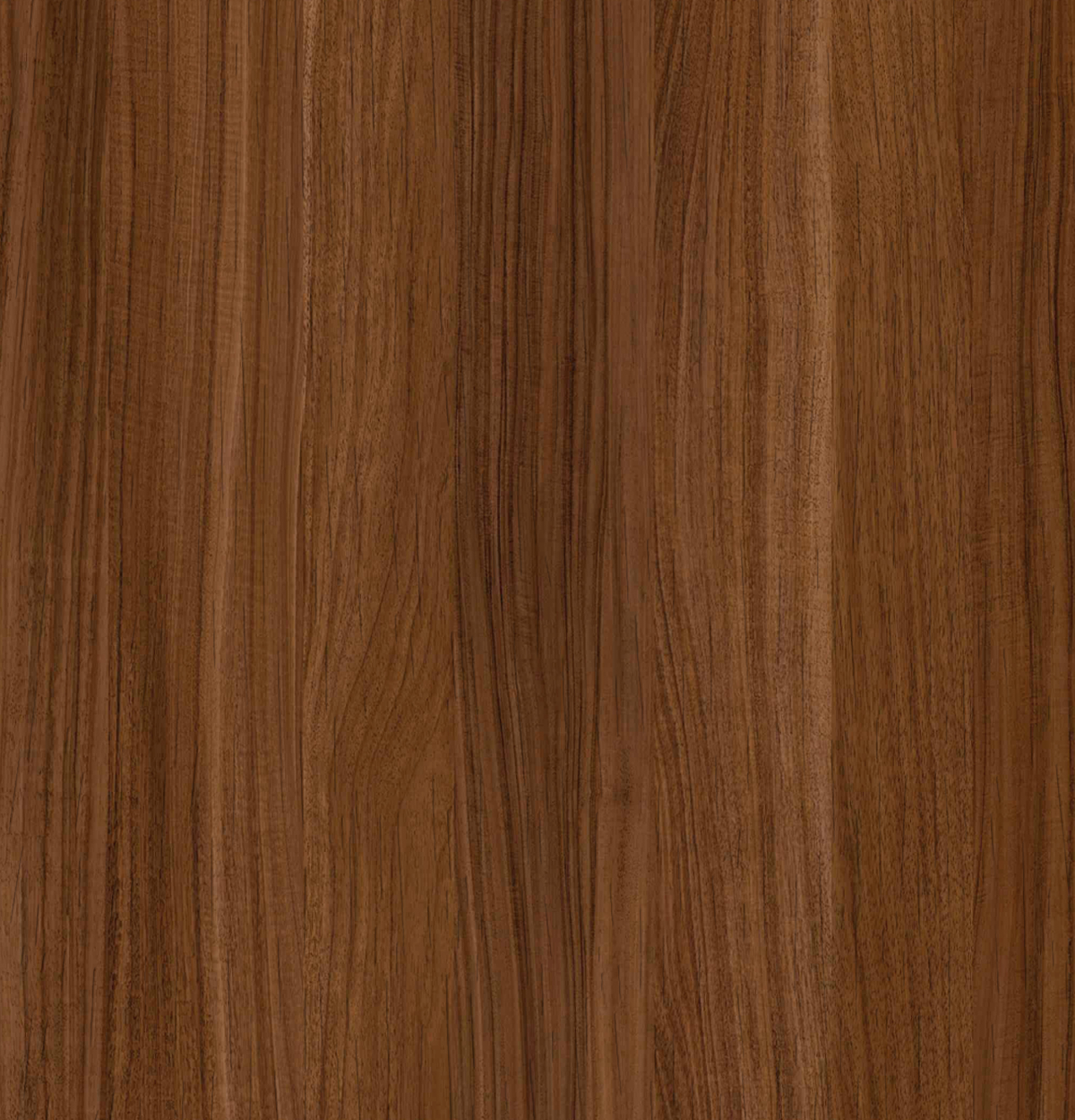 Wattle EVOGRAIN Edge Banding