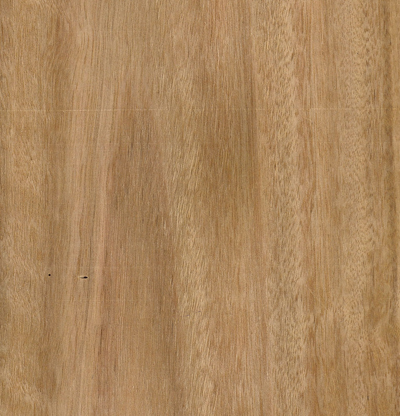 Blackbutt Veneer Crown Cut Sample
