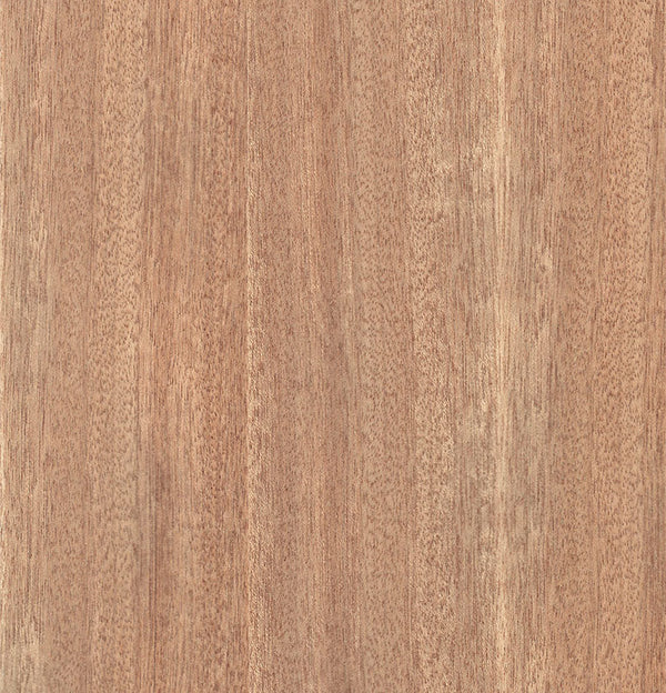 Maple Veneer Sheets Suppliers | Bord Products
