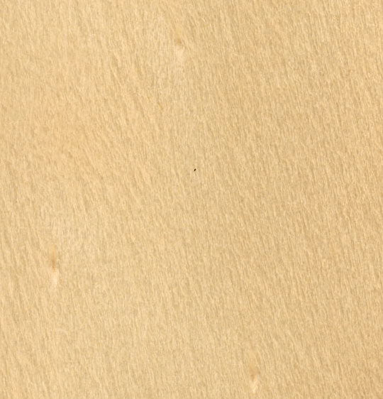 Austral Araucaria Hoop Pine A/C Exterior Plywood