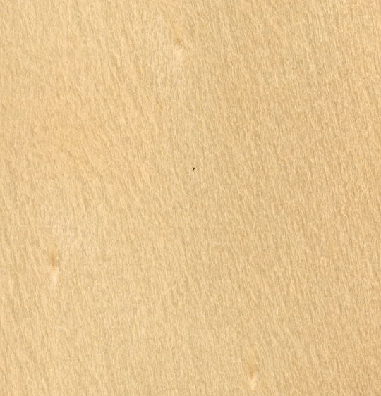 Hoop Pine A/C Exterior Plywood