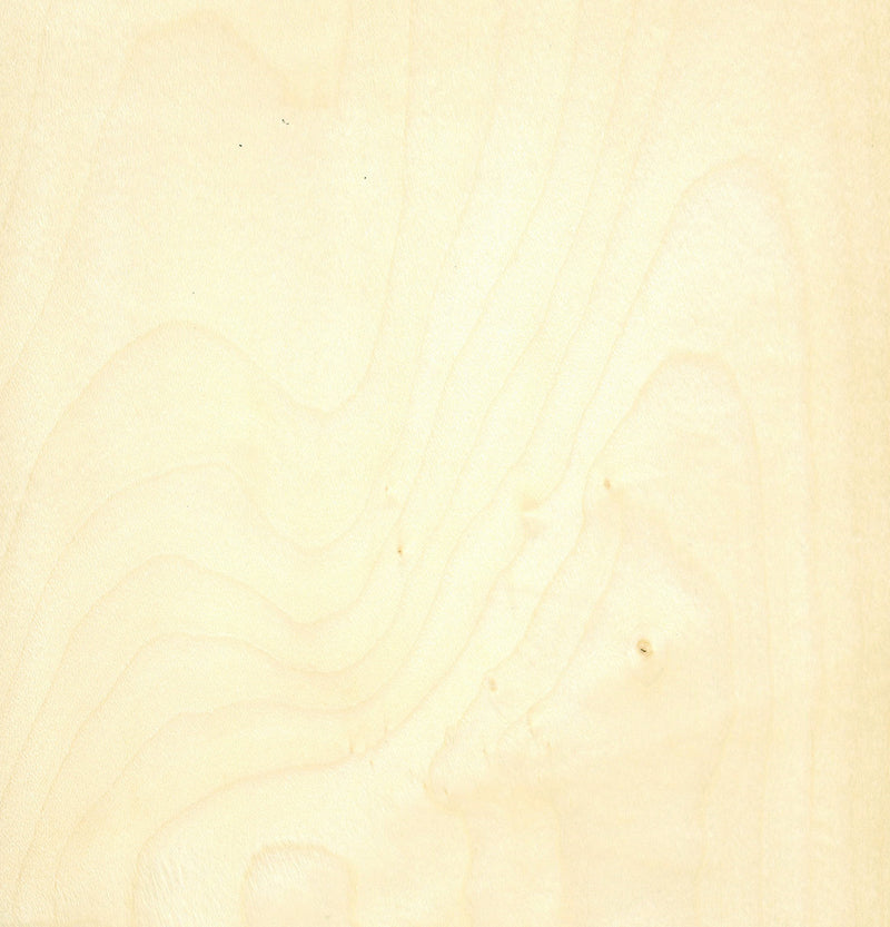 Birch Rotary Timber Veneer