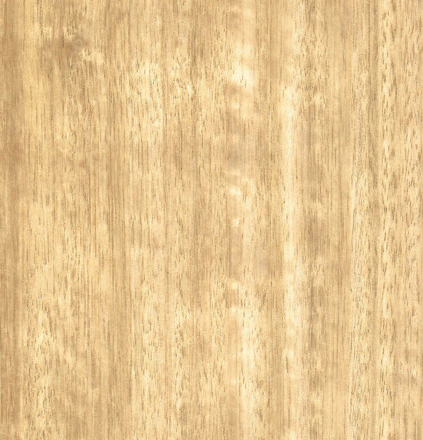 Tasmanian Ash Quarter Cut Timber Veneer