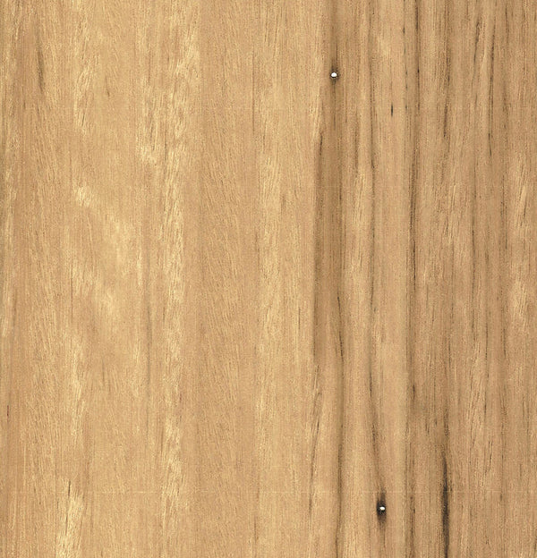 Veneered Blackbutt NFG On Birch Plywood